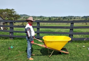 Ex-vaqueiro, Zezinho virou pecuarista e hoje usa carriola para tratar o gado em RO