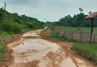 Pecuaristas da região de Marabá-PA devem estar atentos às condições da Estrada do Rio Preto