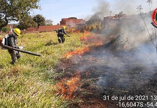 Parceria estabelece aliança para combater focos de incêndio no Pantanal