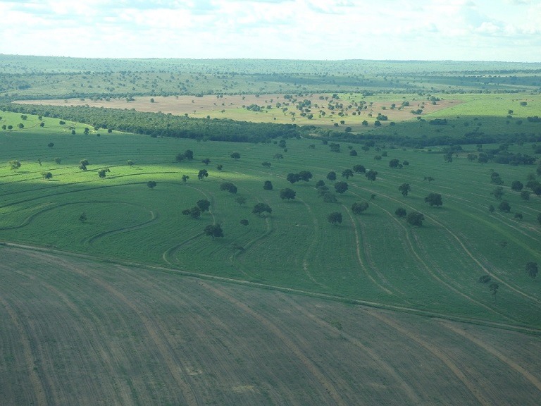 Vista aérea da fazenda Rio Corrente Agropastoril em Coxim (MS). Foto: Reprodução