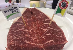 Carne Angus Certificada quer exportar mil toneladas/ano até 2020