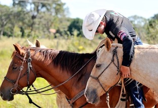 “Cavaleiro das Américas” volta ao lombo do cavalo para angariar recursos para o Hospital de Amor