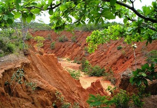 Saiba quais são os três maiores gargalos do manejo de solos do Brasil