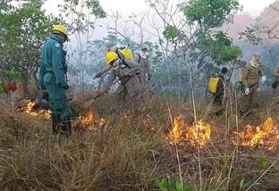 Produtores de MT destacam papel de brigadas de incêndio para salvar fazendas