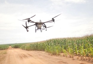 Drone já semeia a pastagem numa das fazendas mais tecnificadas da América Latina