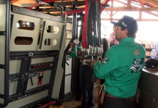 As ferramentas que ajudam a turbinar a pecuária brasileira e garantir mais mercados