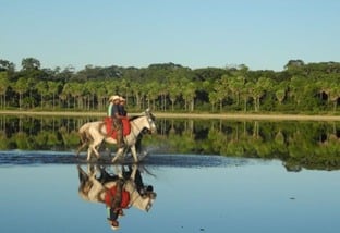 Pantanal: saiba como dinâmica das águas molda a produção pecuária na região