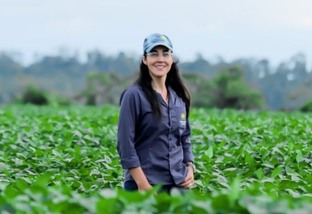 Nelore: executiva deixa carreira na cidade para criar gado no Pará