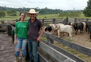 Boi gordo em Rondônia: exemplo de união familiar garante alta produção em pasto farto