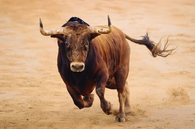 Espanha: Depois do gato por lebre, o boi por touro