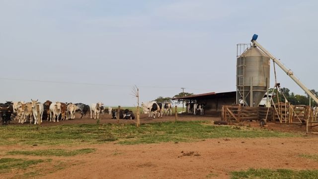 Estrutura automatizada da fazenda São João, em Caarapó (MS). Foto: Divulgação