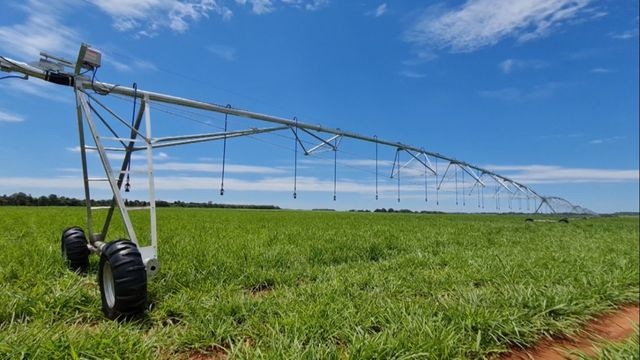 Irrigação de pastagem: confira as melhores tecnologias para a sua fazenda
