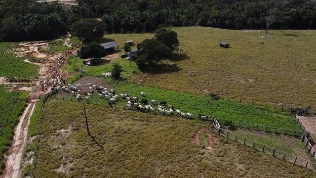 Vista aérea da fazenda fazenda Recanto. Foto: Matheus Roz
