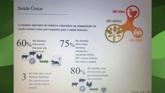 Quadro sobre o perfil da sanidade animal pelo mundo. Foto: Reprodução