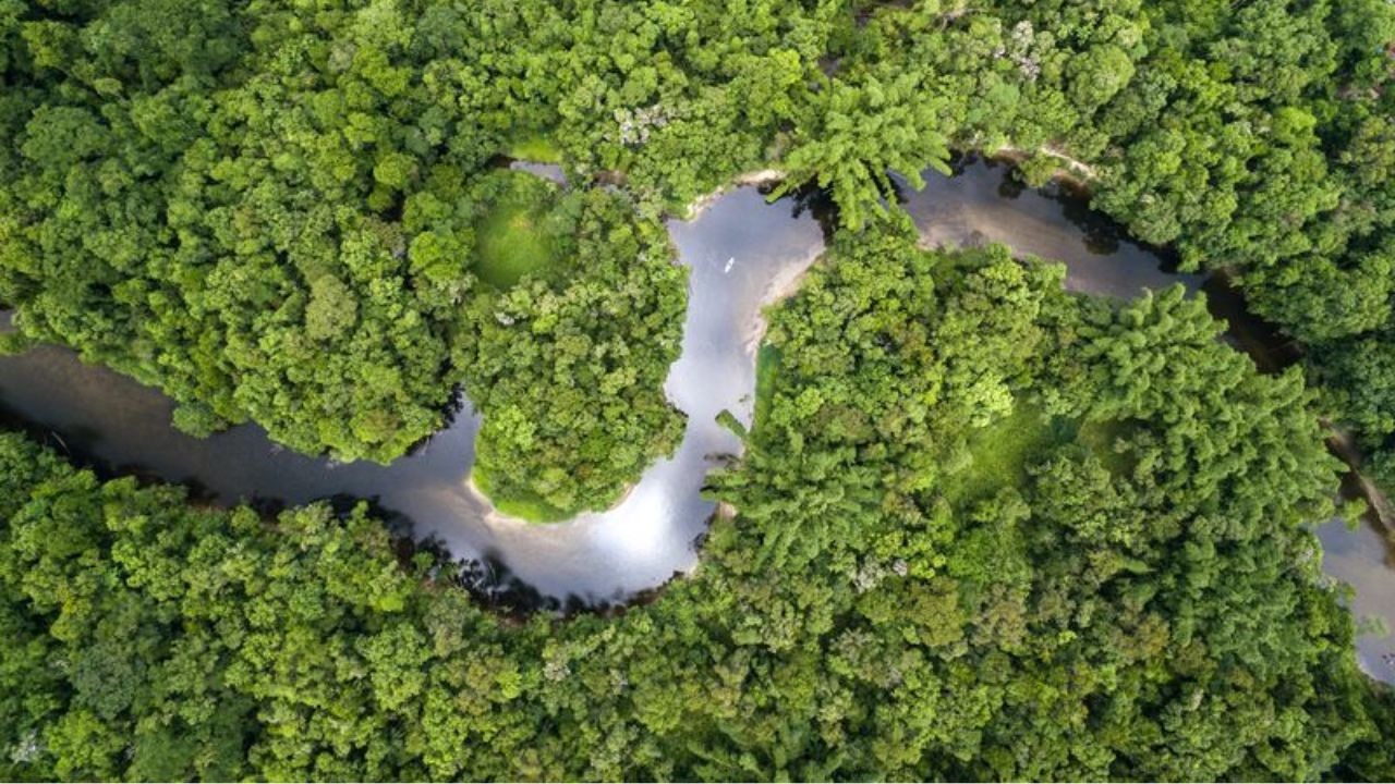 meio ambiente rio floresta 12.07.2023 1