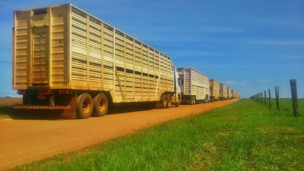 Caminhões de transporte de bovinos do Uboi. Foto: Divulgação/Uboi
