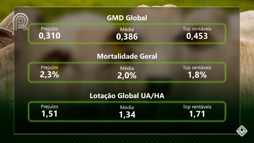 rentabilidade do gado de corte ciclo completo safra 2020/2021 gmd global mortalidade geral lotação 