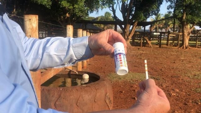 Teste de pH da água no bebedouro de bovinos é semelhante ao de avaliação de água de piscina. Foto: Fernando Loureiro
