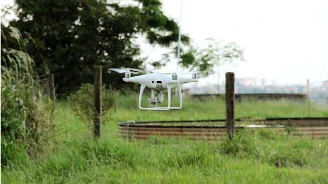 Uso de drone em experimento do projeto Pecuária do Futuro. Foto: Graziella Galinari/Embrapa Agricultura Digital