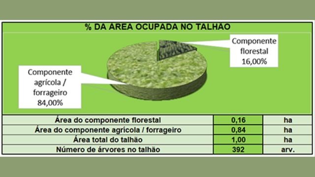A planilha de ILPF da Embrapa mostra como fica a ocupação da área da fazenda. Foto: Reprodução