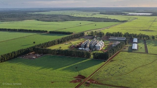 Vista aérea da fazenda Campanário. Foto: Divulgação
