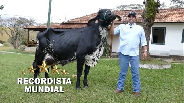 A vaca leiteira recordista foi a vaca Marília FIV Teatro de Naylo e um de seus donos, Gustavo Souza. Foto: Reprodução