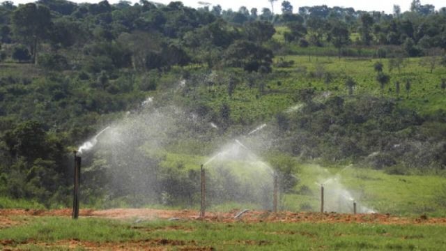 Irrigação em área de pastagem é uma das tecnologias que estão potencializando o semiconfinamento no País. Foto: Guilherme Vieira