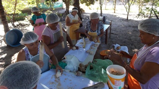 Extração de mesocarpo do babaçu em comunidade de produtores rurais. Foto: Westphalen Nunes/Embrapa Cocais