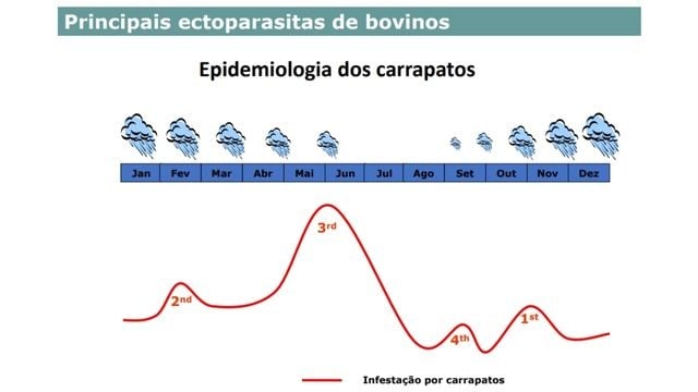 Detalhe do potencial da infestação de geração de carrapatos  ao longo do ano. Foto: Reprodução