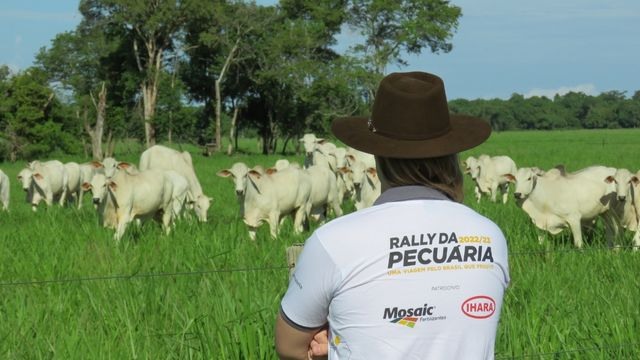 Integrante de equipe de campo do Rally da Pecuária observando bovinos em área de pasto. Foto: Divulgação/Rally da Pecuária
