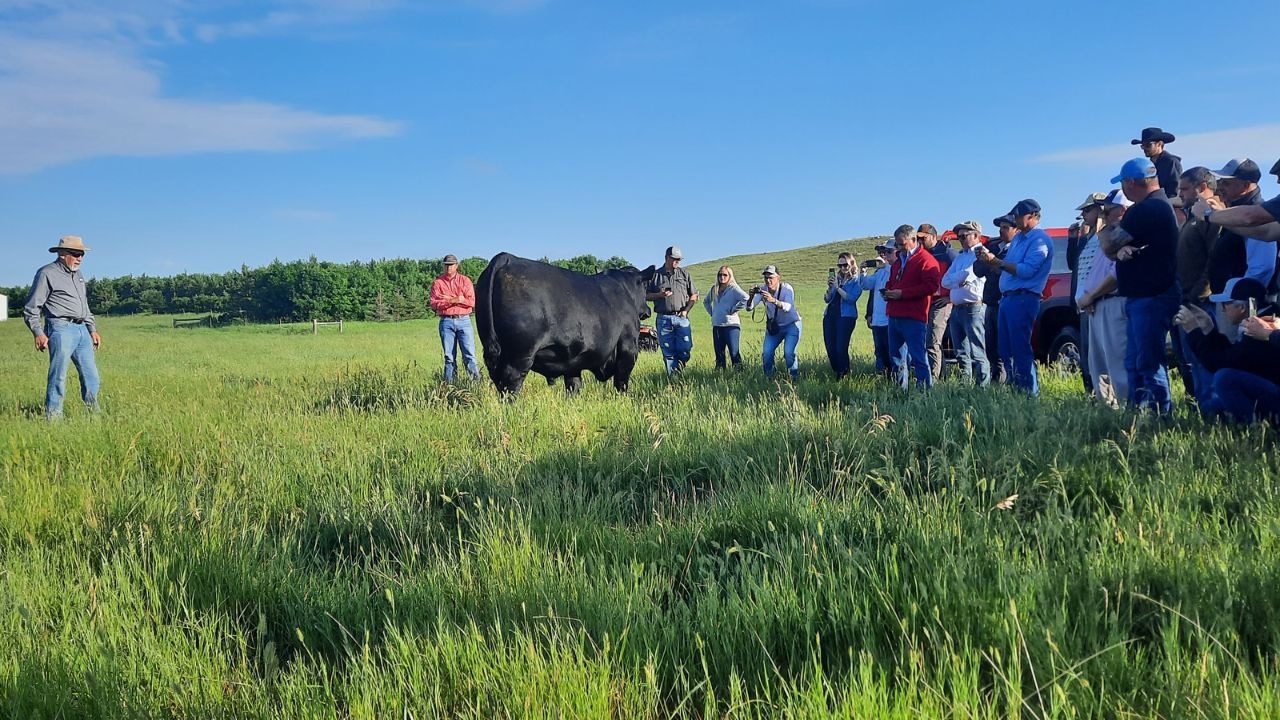 Visita técnica a fazendas e confinameto de bovinos de corte nos Estados Unidos. Foto: Divulgação/Genex