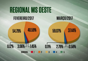 Acabamento de carcaça melhora 4% no MS em março