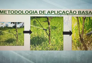 Agrônomo repassa dicas sobre controle de plantas daninhas no Cerrado e no Pantanal
