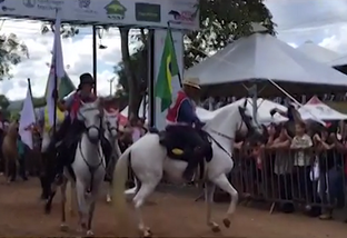 Cavalgada reúne 1.568 cavalos Mangalarga Marchador em Caxambu-MG
