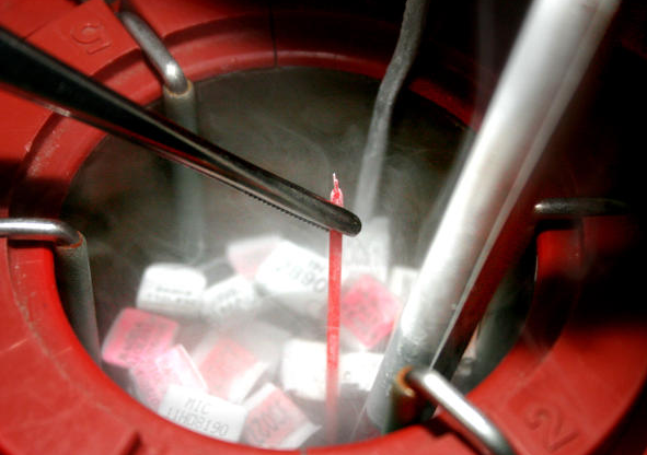 As doses são armazenadas a uma temperatura de -196 °C. Foto: Divulgação