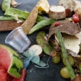 Mais de 1 bilhão de refeições por dia vão parar no lixo. Saiba como é possível conter isso