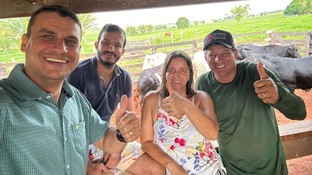 Senepol em Rondônia: novilhas meio-sangue surpreendem com acabamento ideal de gordura