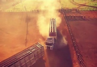 Transporte de bovinos por caminhão. Foto: Divulgação