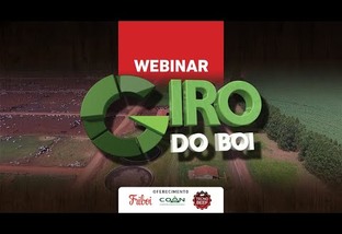 Ao vivo: Webinar Giro do Boi - Confinamento Brasileiro