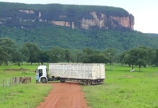 Confira locais perto de Confresa com atoleiros que dificultam transporte do gado