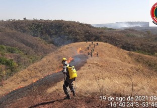 Guerreiros do fogo: brigadistas capacitam população de MT a combater incêndios