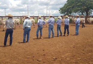 Treinamento de equipes da fazenda. Foto: Divulgação