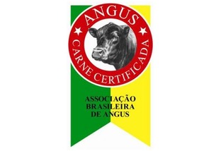Quais as vantagens da raça Angus na produção de carne de qualidade?
