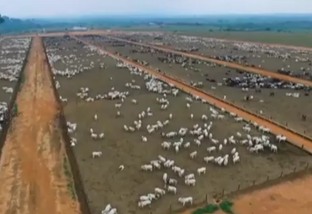 Vista aérea da fazenda Pontal. Foto: Divulgação