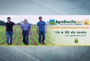 Agrobrasília 2017 terá simulação de controle de plantas daninhas em pastagens