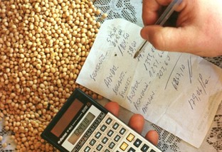 O que o produtor deve saber antes de contratar o crédito agrícola?