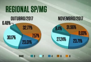 Confinamento melhora acabamento das carcaças de SP e MG em novembro