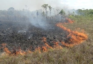 Tempo seco e quente volta a ameaçar produtores com condições para queimadas