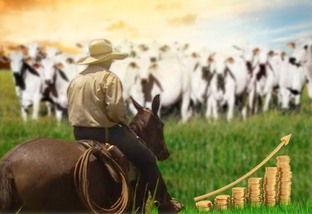 agricultura ou pecuária profissional