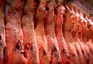 carne de qualidade exportações de carne bovina para a china